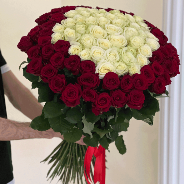 101 роза красная и в середине белая в Красногвардейском