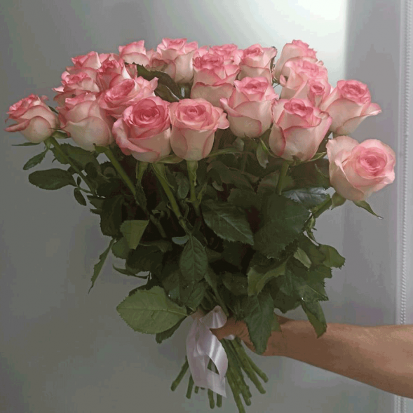 21 нежно-розовая роза, лента в Красногвардейском