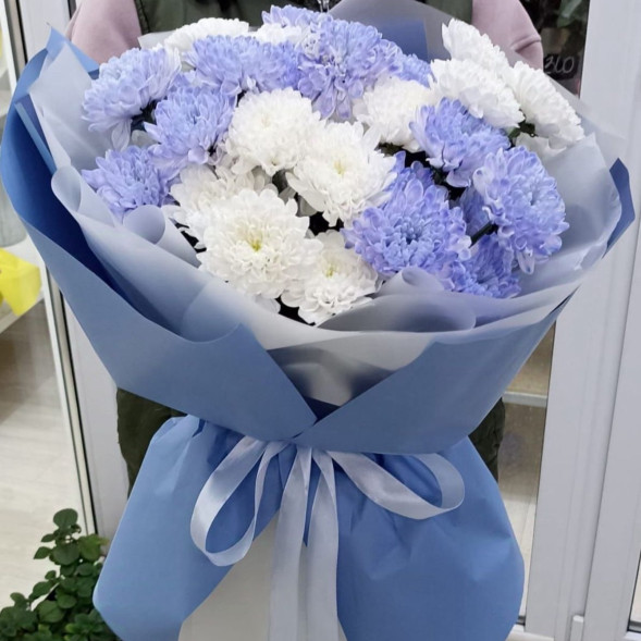 7 белых и голубых хризантем  в Красногвардейском