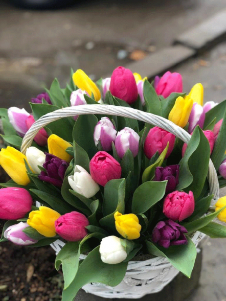 41 тюльпан микс в корзине в Красногвардейском