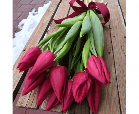 11 красных тюльпанов, лента в Красногвардейском