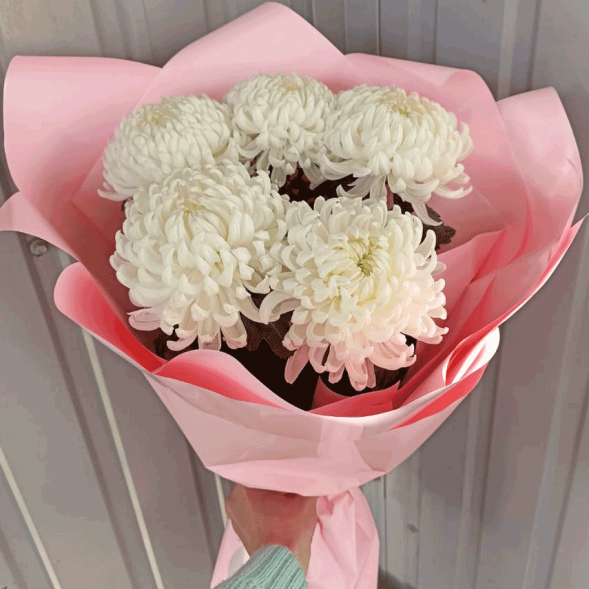 Букет 5 одноголовых хризантем в Красногвардейском