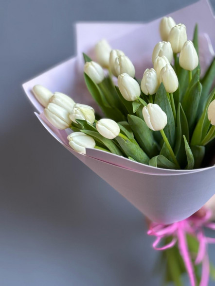 21 белый тюльпан в Красногвардейском