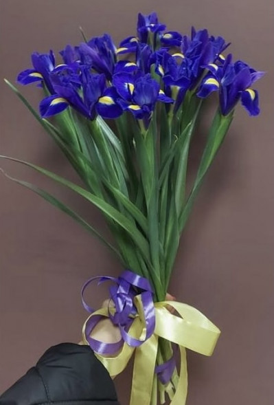 Букет 11 ирисов  в Красногвардейском