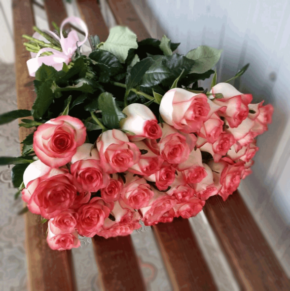 31 розовая роза в Красногвардейском