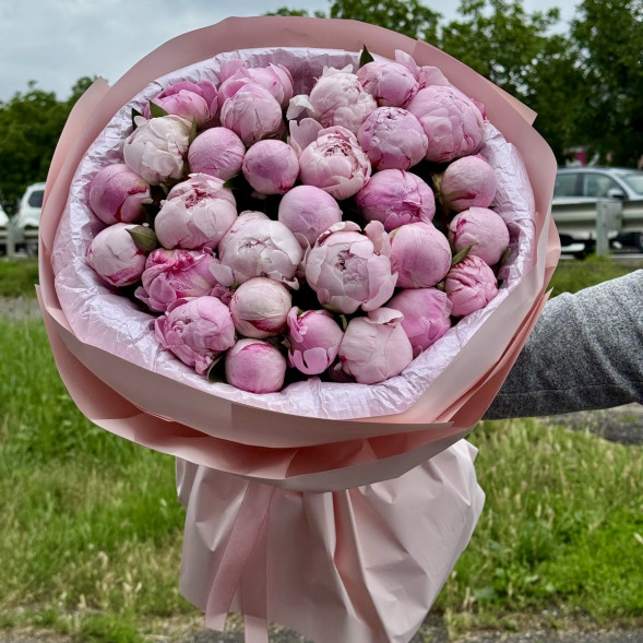 29 пионов &quot;Сара-Бернар&quot; в нежно-розовой упаковке в Красногвардейском