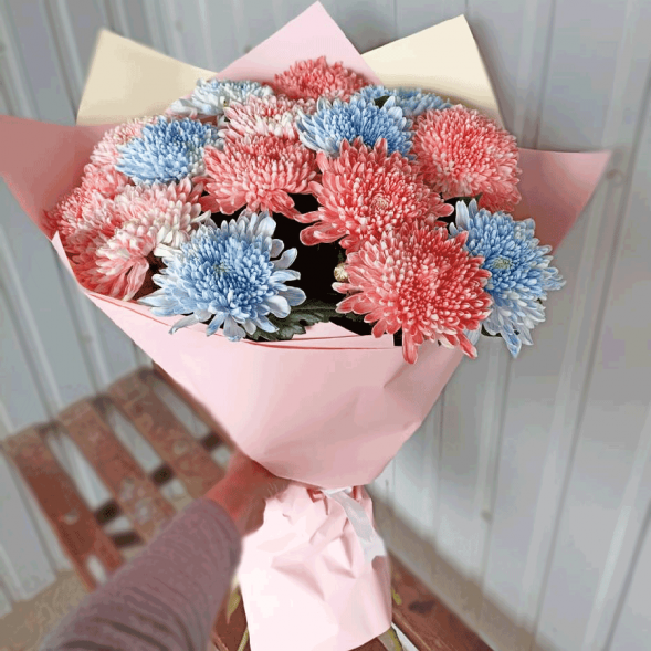 15 одноголовых хризантем микс в Красногвардейском