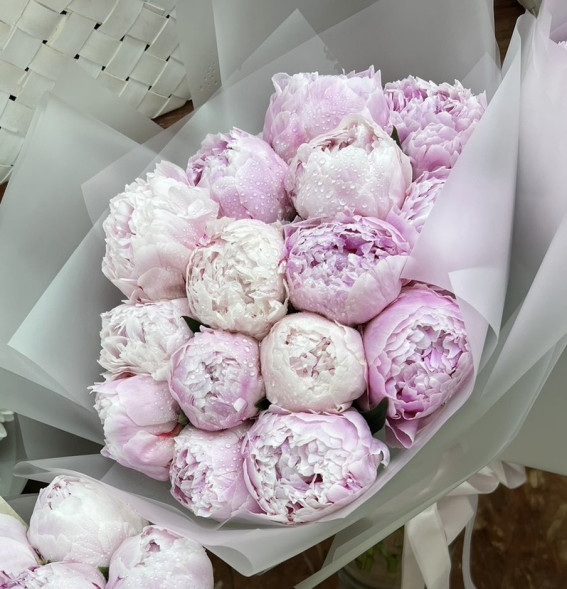 15 пионов Сара Бернар в Красногвардейском